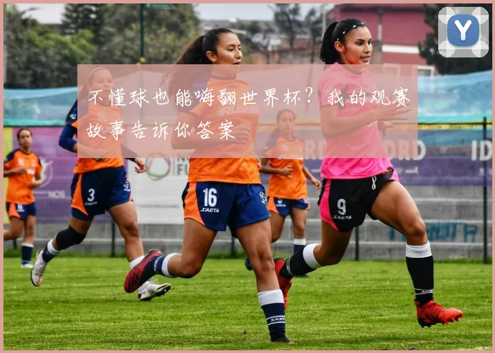 不懂球也能嗨翻世界杯?我的观赛故事告诉你答案