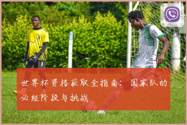 世界杯资格获取全指南:国家队的必经阶段与挑战