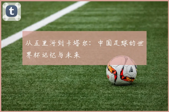 从五里河到卡塔尔：中国足球的世界杯记忆与未来