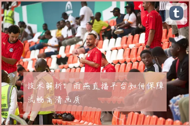 技术解析：雨燕直播平台如何保障流畅高清画质